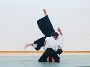 saariharrastaa_4
